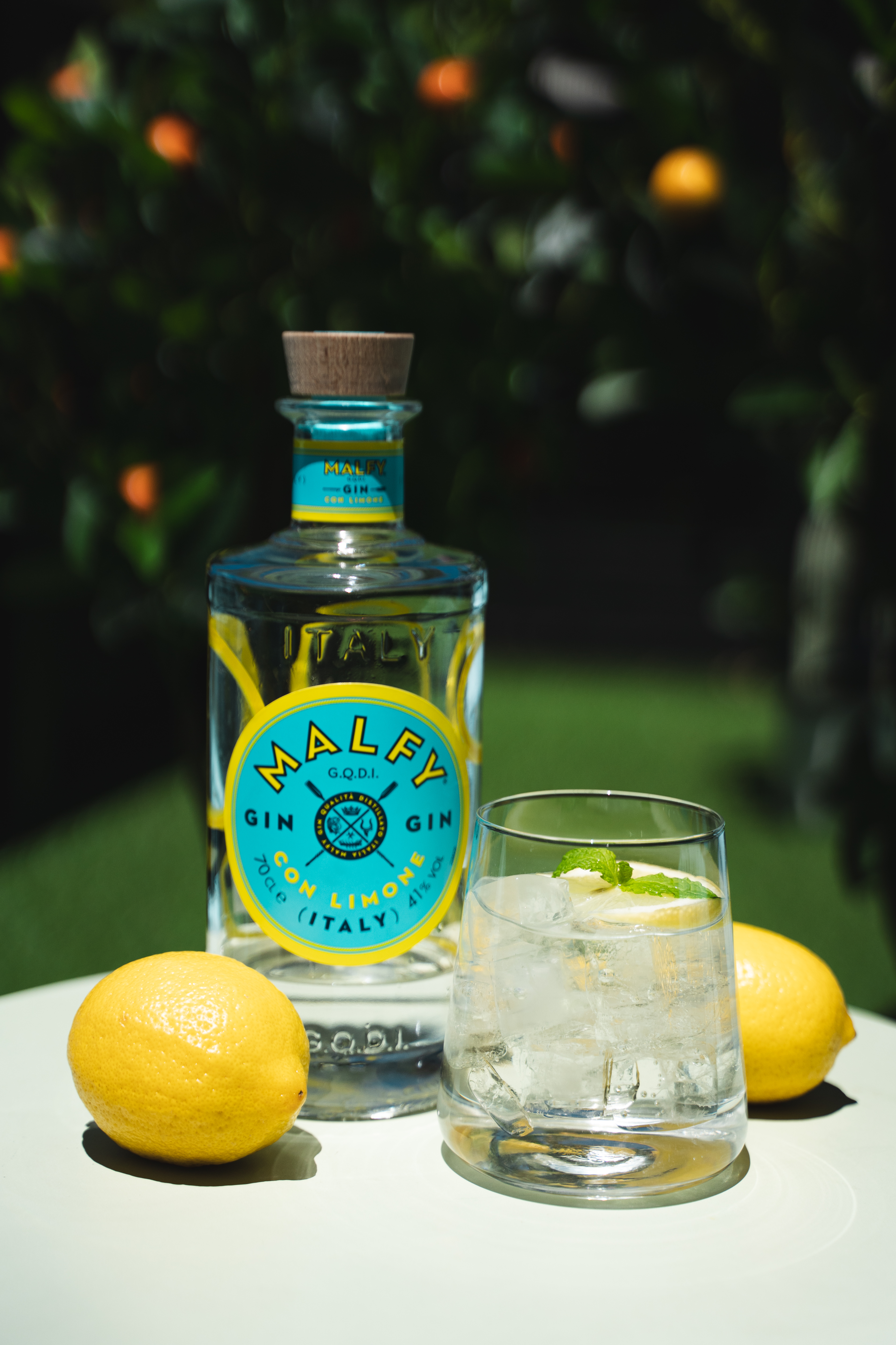 Promos & Food DSC02135-1